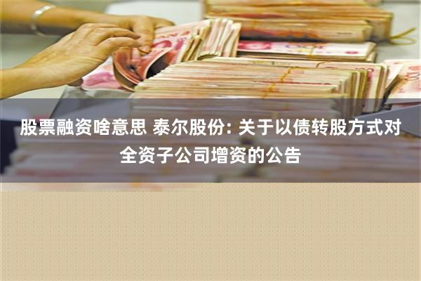 股票融资啥意思 泰尔股份: 关于以债转股方式对全资子公司增资的公告