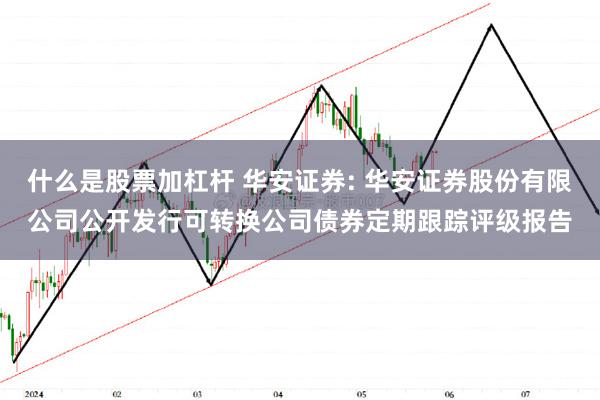 什么是股票加杠杆 华安证券: 华安证券股份有限公司公开发行可转换公司债券定期跟踪评级报告