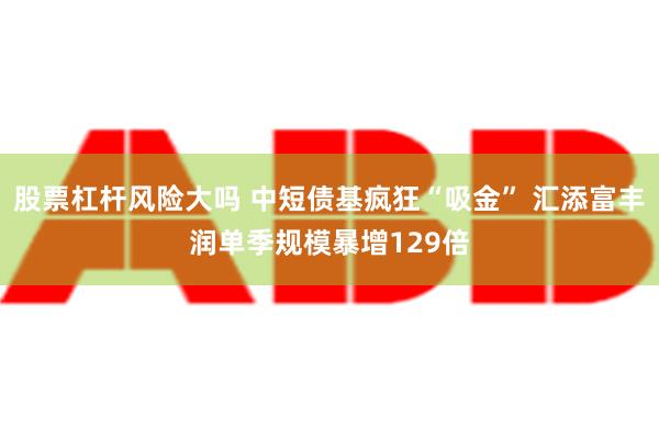 股票杠杆风险大吗 中短债基疯狂“吸金” 汇添富丰润单季规模暴增129倍