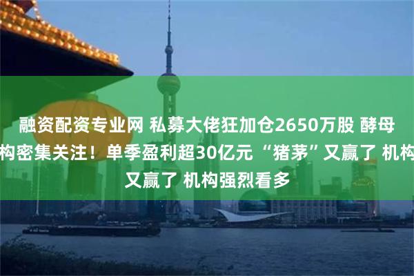 融资配资专业网 私募大佬狂加仓2650万股 酵母龙头获机构密集关注！单季盈利超30亿元 “猪茅”又赢了 机构强烈看多