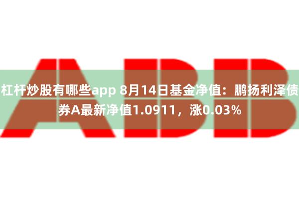 杠杆炒股有哪些app 8月14日基金净值：鹏扬利泽债券A最新净值1.0911，涨0.03%