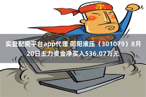 实盘配资平台app代理 邵阳液压（301079）8月20日主力资金净买入536.07万元