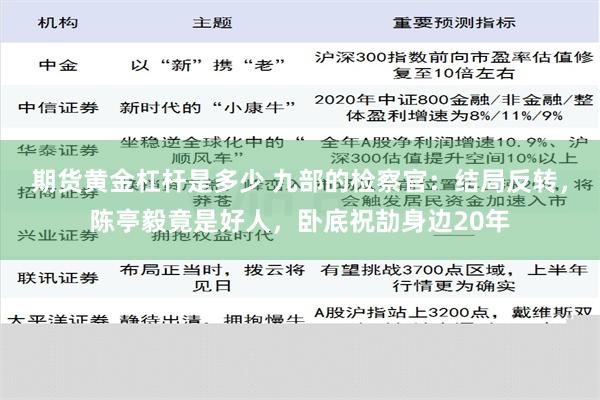 期货黄金杠杆是多少 九部的检察官：结局反转，陈亭毅竟是好人，卧底祝劼身边20年