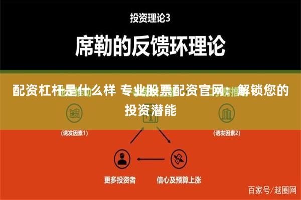 配资杠杆是什么样 专业股票配资官网：解锁您的投资潜能