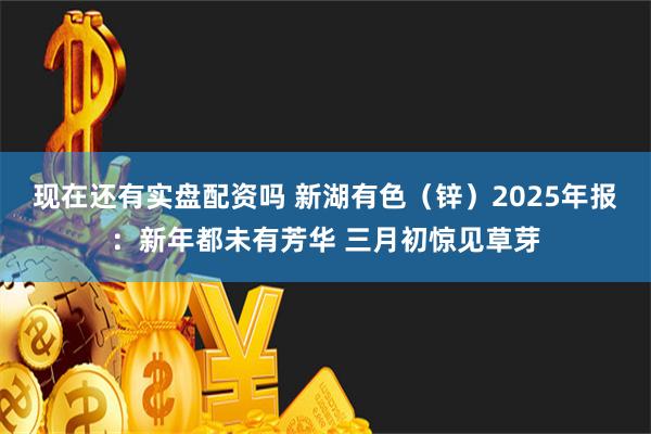 现在还有实盘配资吗 新湖有色（锌）2025年报：新年都未有芳华 三月初惊见草芽